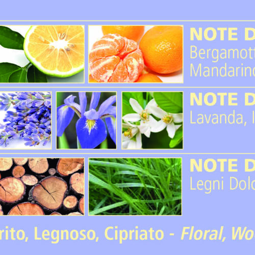 Dr. Taffi Acqua di Bolgheri Eau de Cologne Lavendel - 50ml – Bild 3