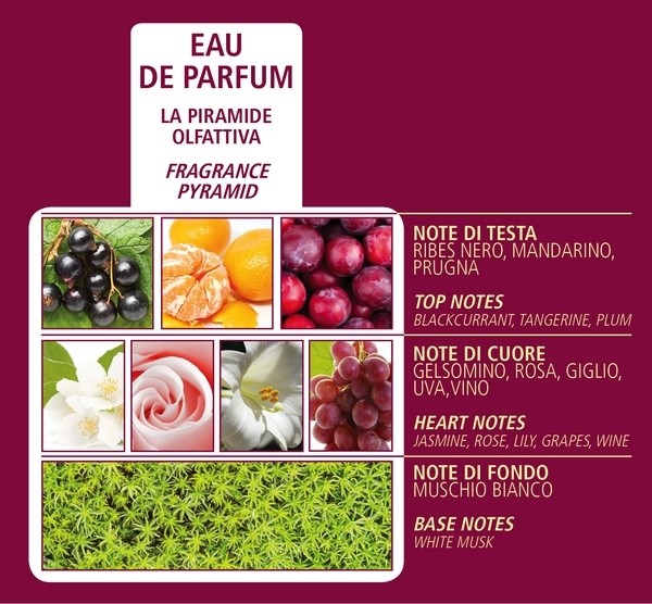 Dr. Taffi Acqua di Bolgheri Eau de Parfum Bacce di Vinum 100ml