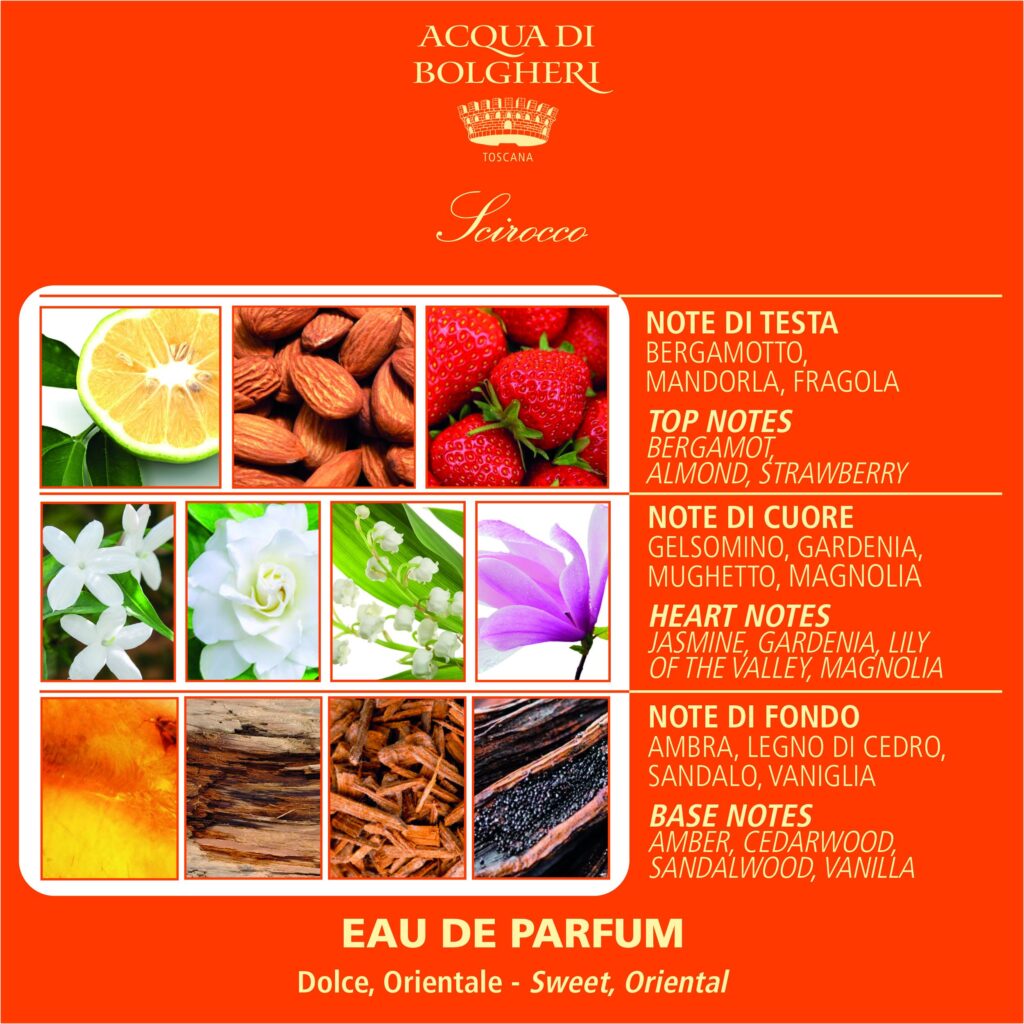 Dr. Taffi Acqua di Bolgheri Eau de Parfum Scirocco 100ml Duftpyramide