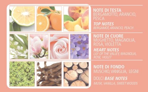 Dr. Taffi Acqua di Bolgheri Eau de Parfum La Magnolia 100ml