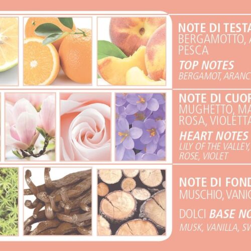 Dr. Taffi Acqua di Bolgheri Eau de Parfum La Magnolia 100ml – Bild 3