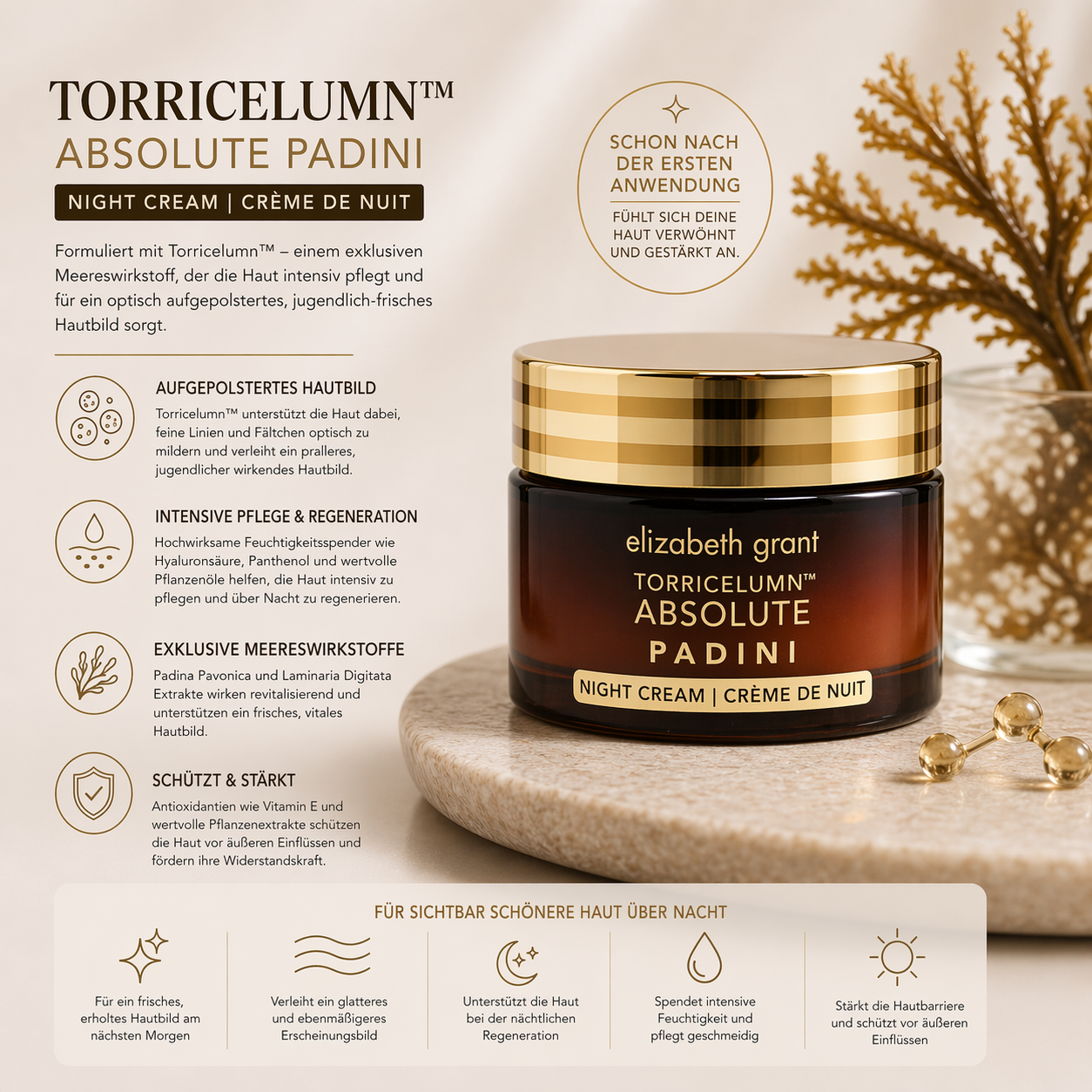 Padini Nachtcreme 50ml_Benfit