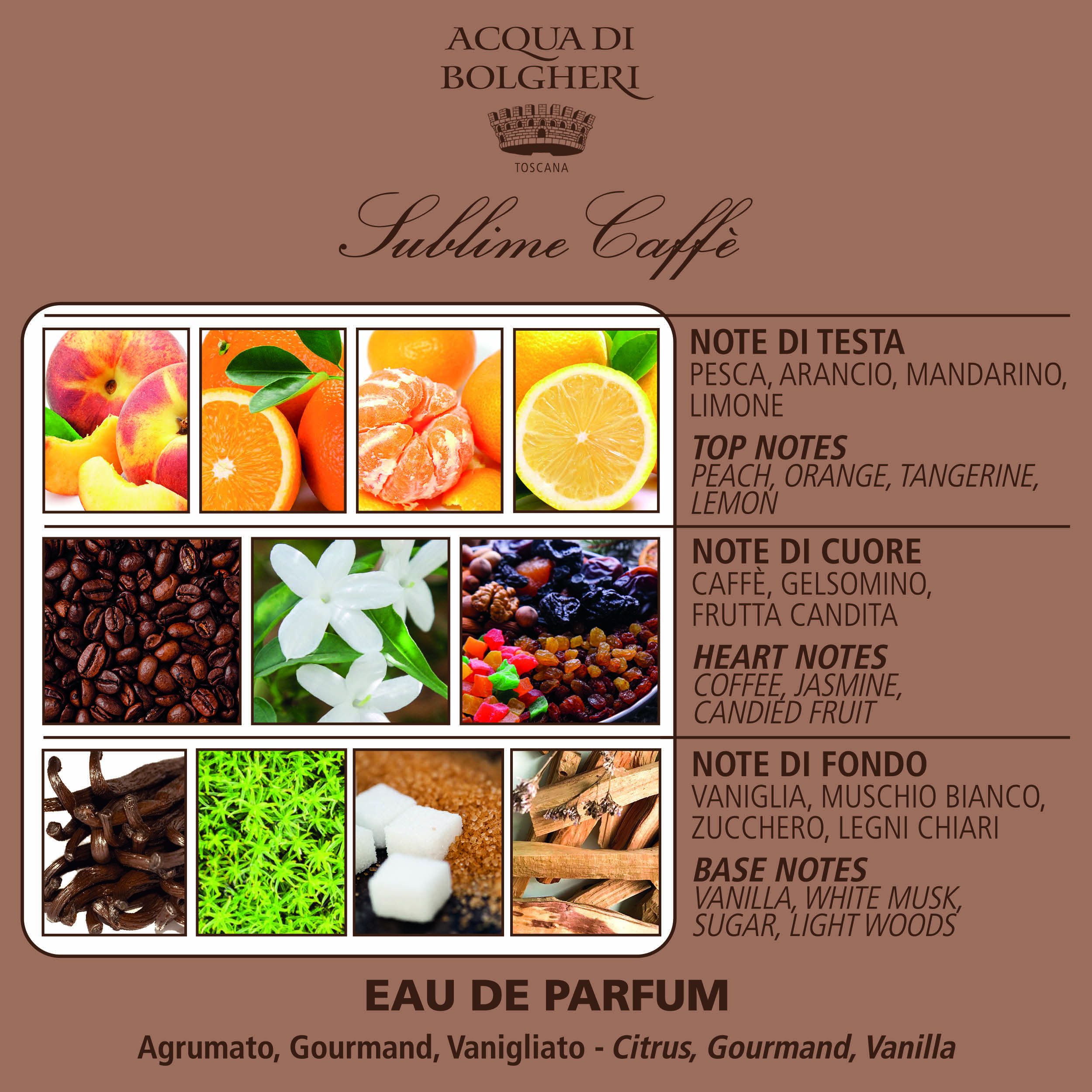 Acqua di Bolgheri Sublime Coffee Fluid-Bodylotion – 300 ml – Bild 2